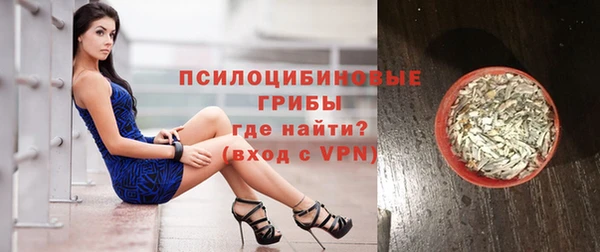 МДПВ Заводоуковск