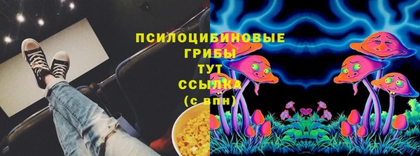 МДПВ Заводоуковск