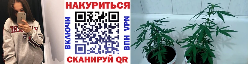Купить закладки  Новая Ляля  Конопля AK-47 